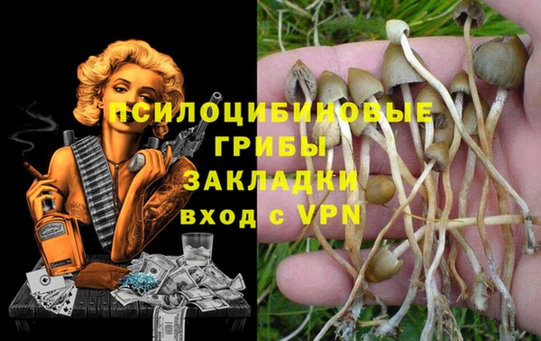 стафф Навашино