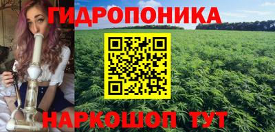 мяу мяу мука Гусь-Хрустальный